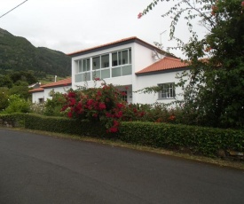 Tropical Fruit Garden