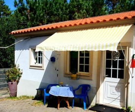 Studio in Nazare with shared pool furnished garden and WiFi 7 km from the beach