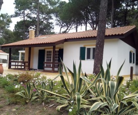 Casa no Pinhal