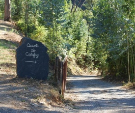 Casa de Campo "Quinta do Cadafaz"