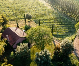 Quinta do Ameal - Wine & Tourism Terroir