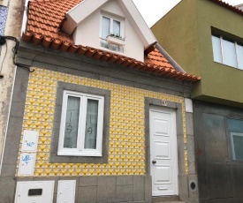 YELLOW TILED HOUSE