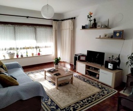 Apartment with one bedroom in Figueira da Foz with wonderful city view and WiFi 1 km from the beach