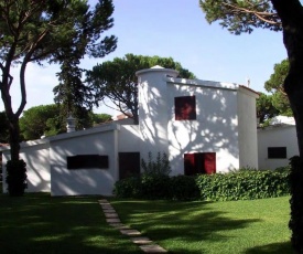 House with beautiful garden and swimming pool