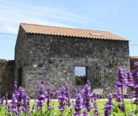 Azores Country Nature