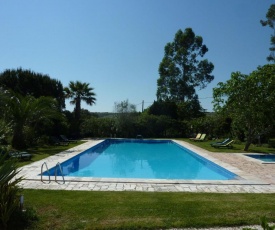 Attached quaint Farmhouse in Montemor-o-Novo with Swimming Pool